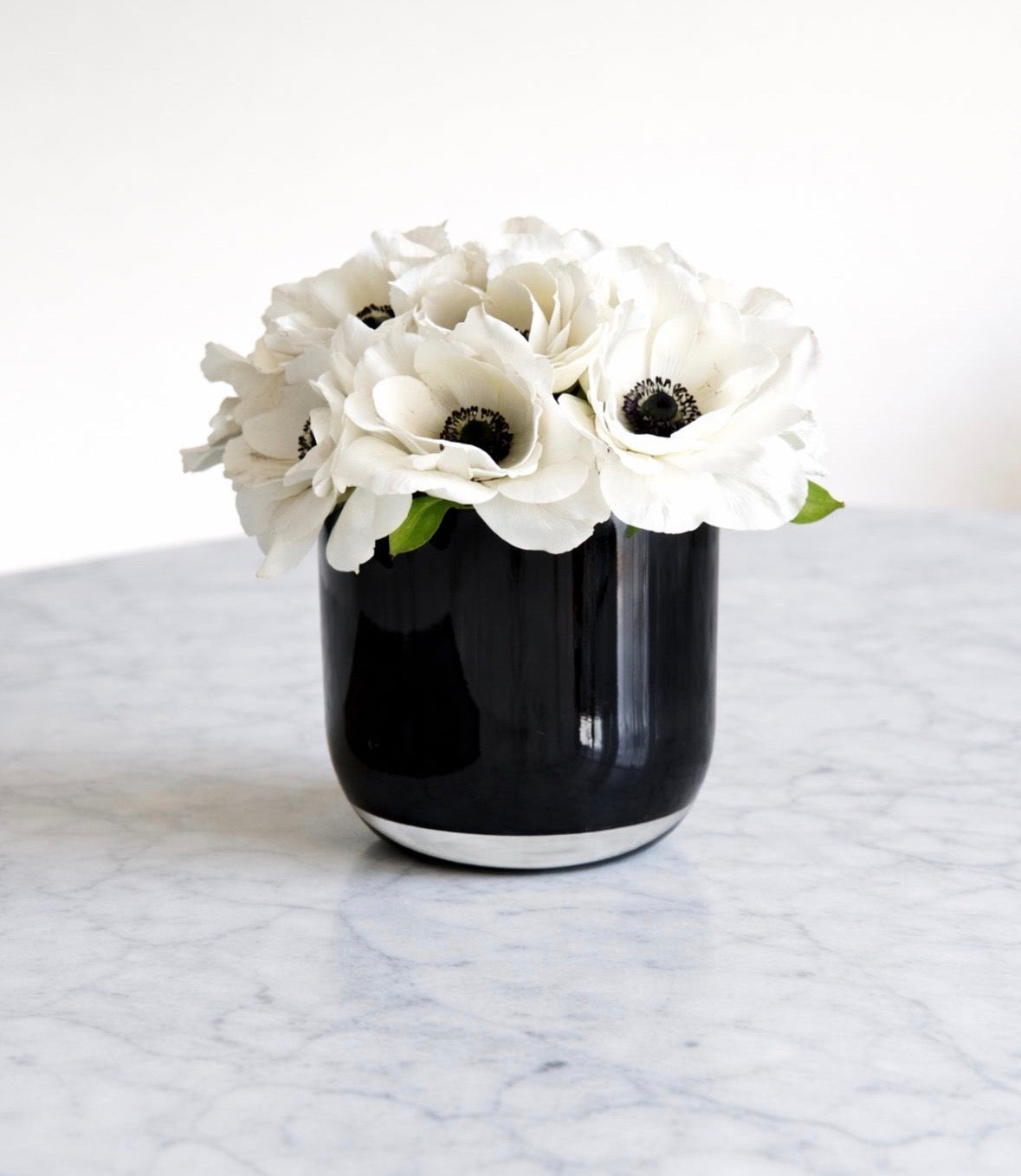 Anemone Noir