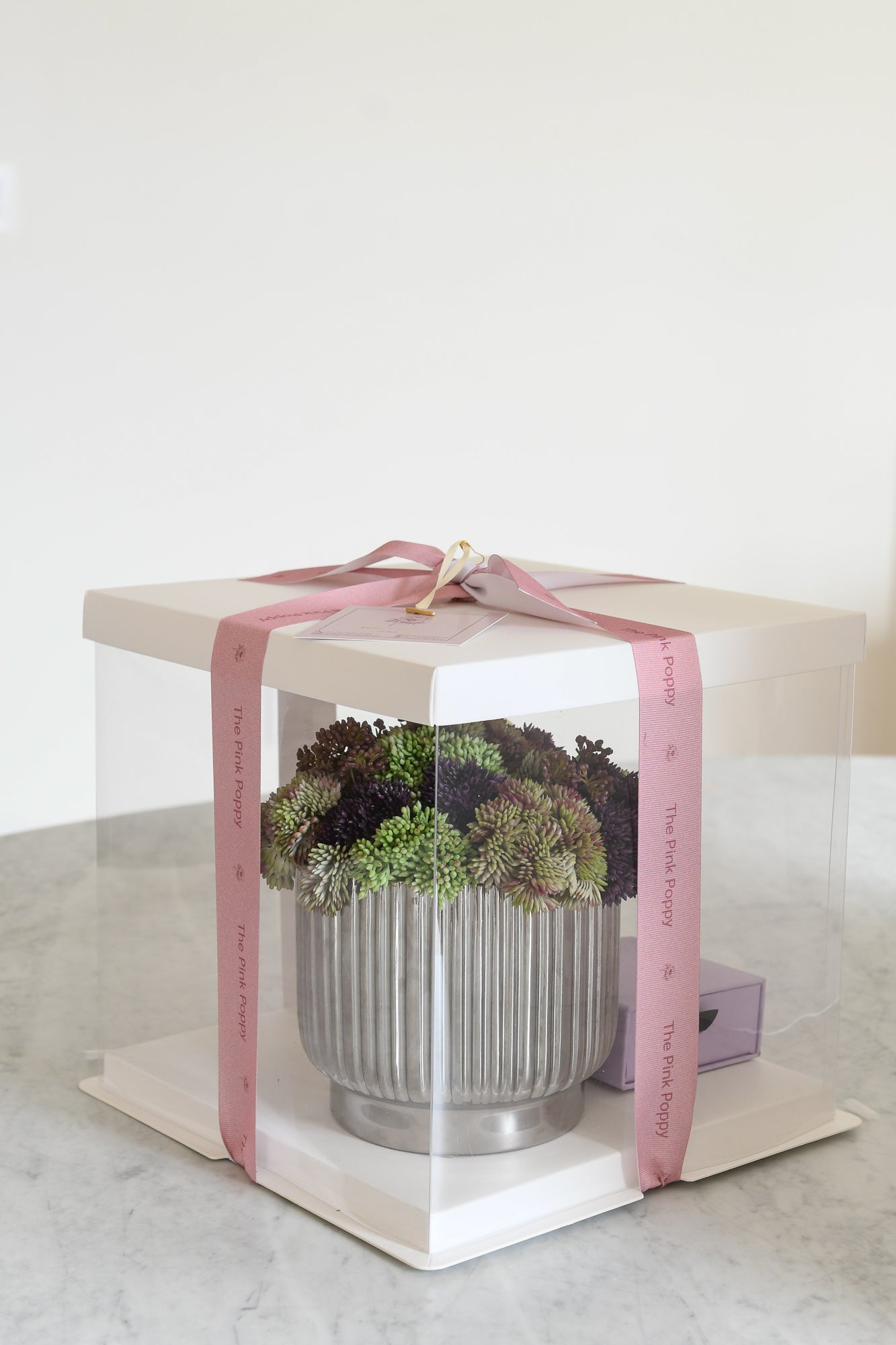 Celeste Succulent Purim Box