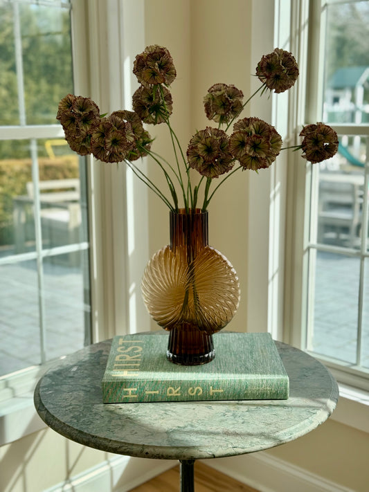 Amber Scabiosa