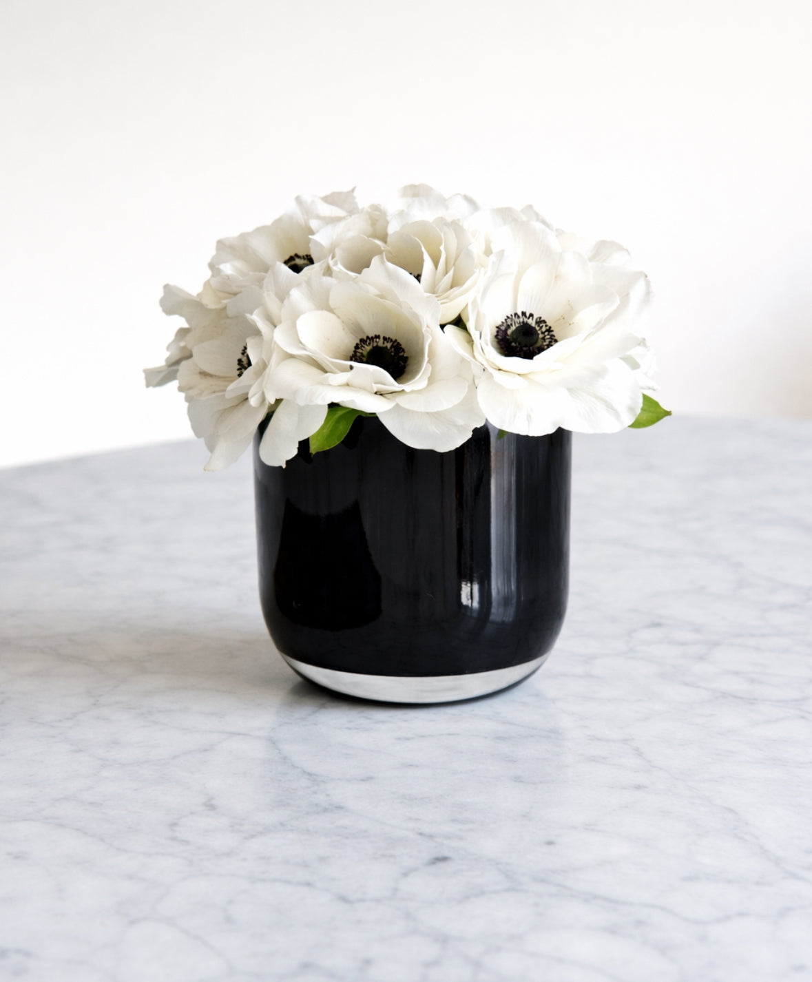 Petite Noir Anemone