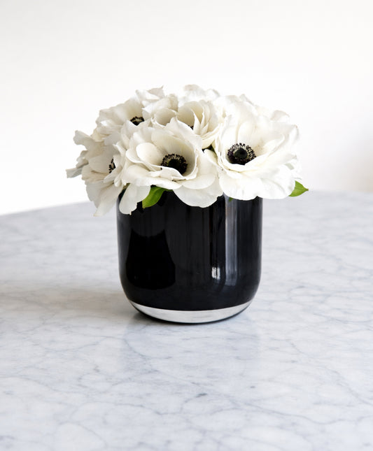 Petite Noir Anemone